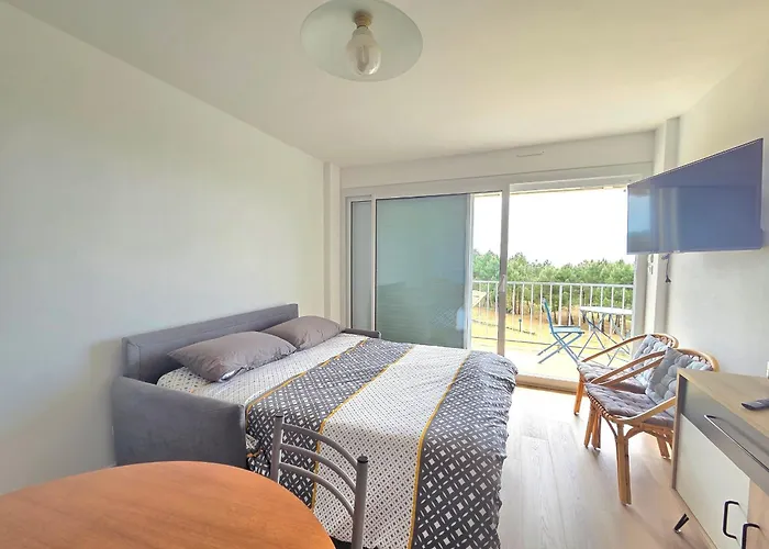 Apartment Renove Pour 4 Pers., Vue Mer, Salle De Jeux Et Parking Inclus - Fr-1-364-180