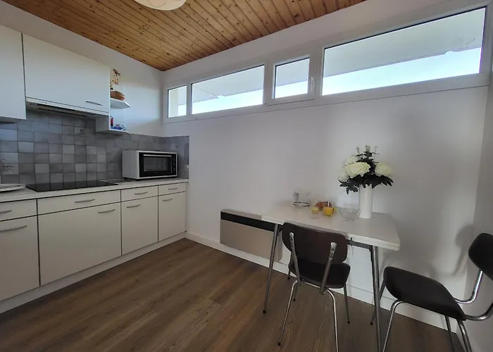 Renove Pour 4 Pers., Vue Mer, Salle De Jeux Et Parking Inclus - Fr-1-364-180 Apartment